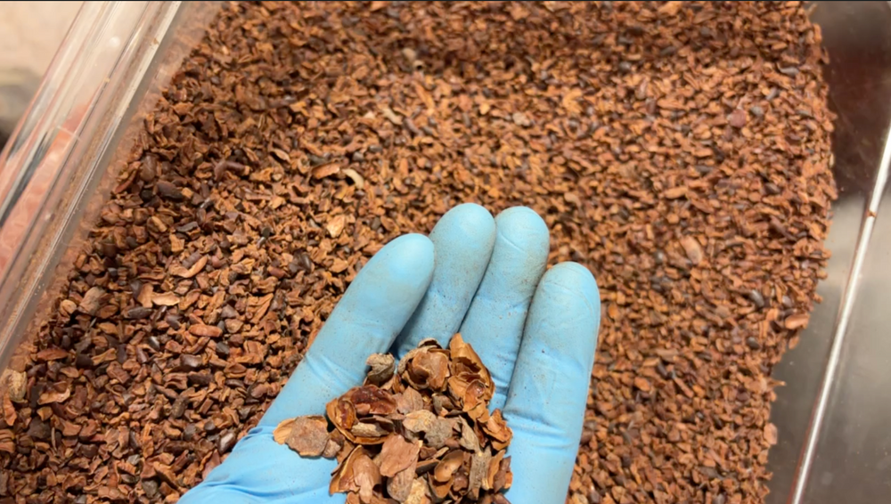 Inside Encore Coffee & Chocolate: Kansas City’s Hidden Gem ...