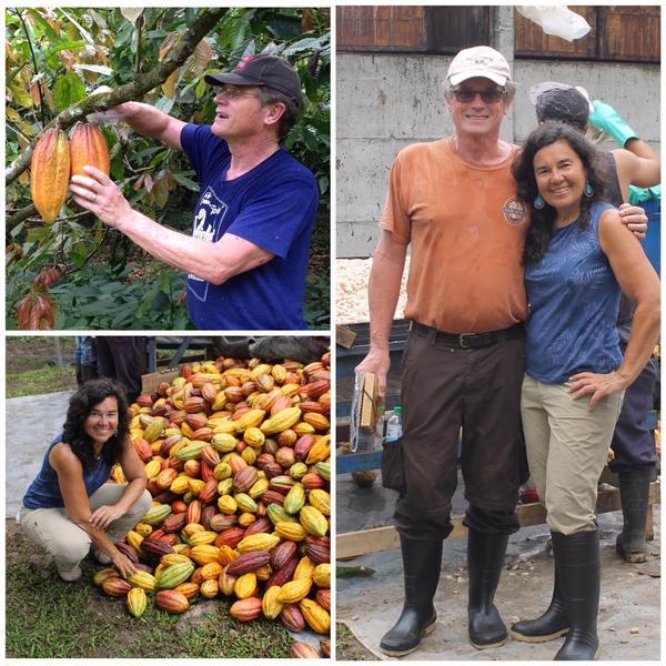 Bean to Bar Chocolate Maker: Cello Chocolate