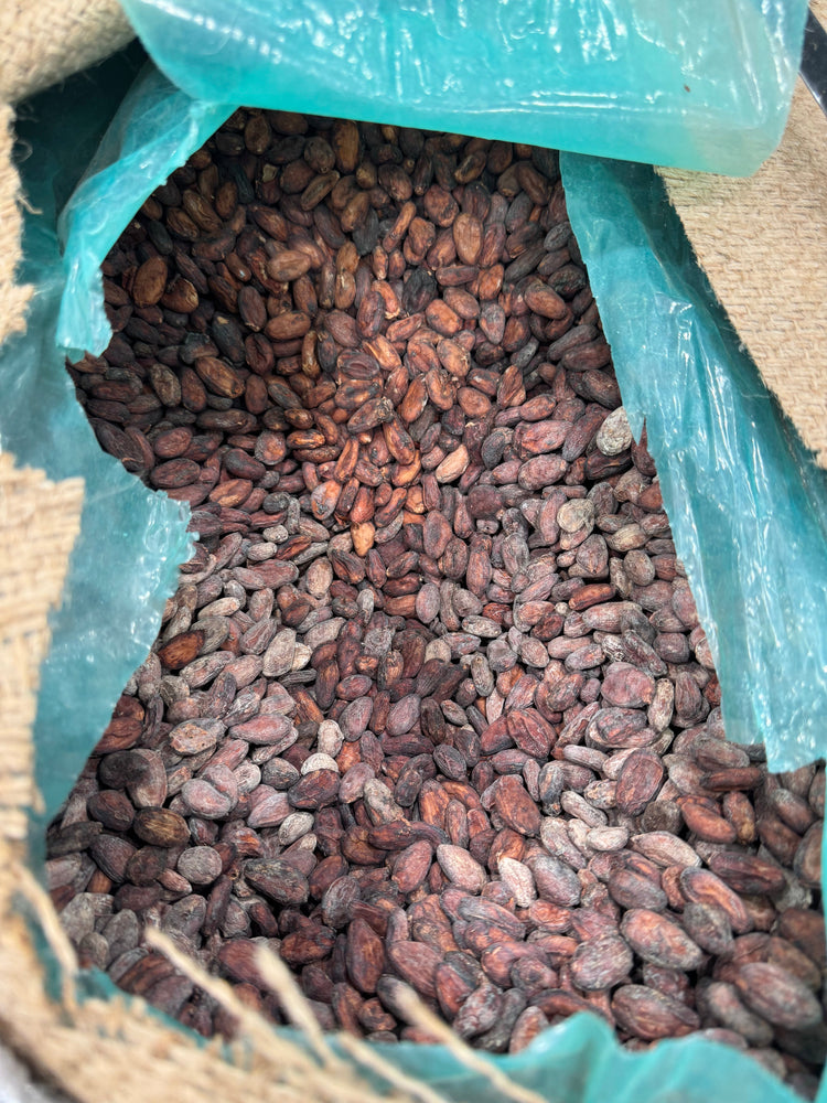 Bean to Bar Chocolate Maker: Exquisito Chocolates