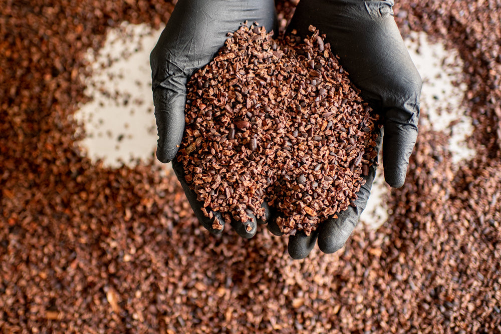 Bean to Bar Chocolate Maker: Spinnaker Chocolate