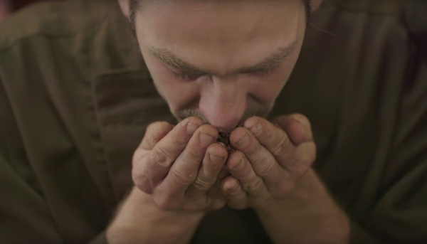 Bean to Bar Chocolate Maker: Firefly Chocolate